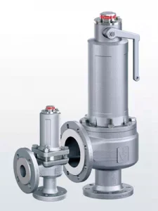 goetze safety valve